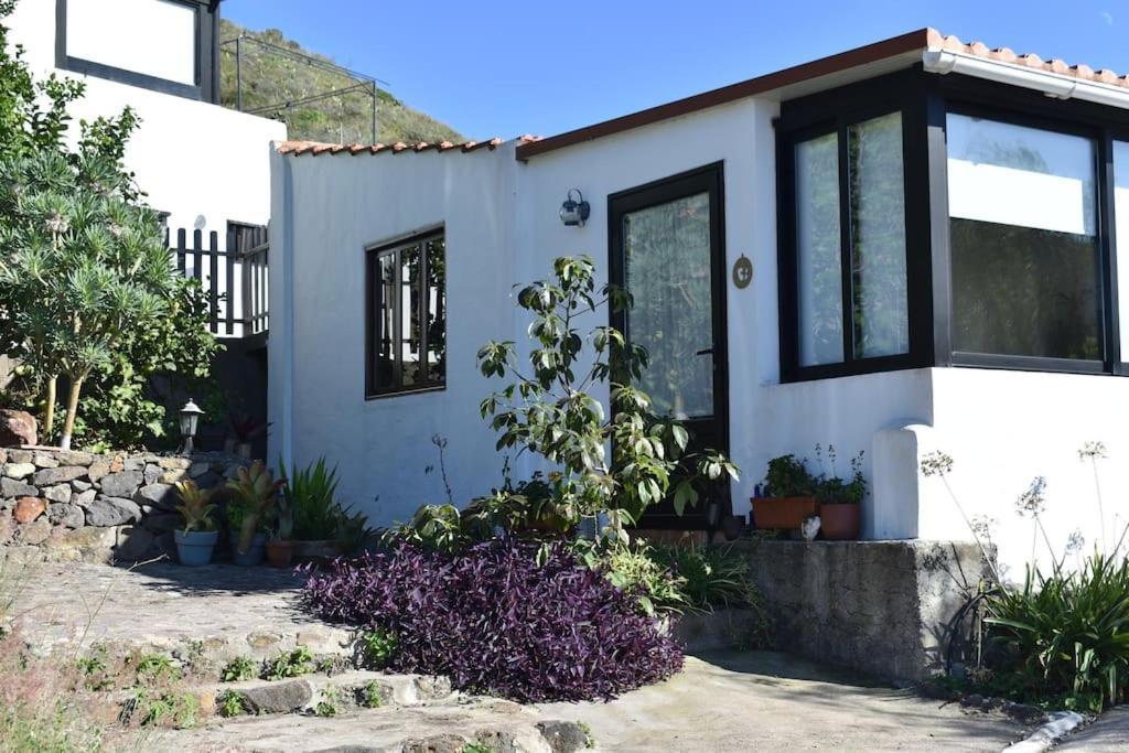 Casita De La Montana De Maria Villa Tegueste Exterior foto