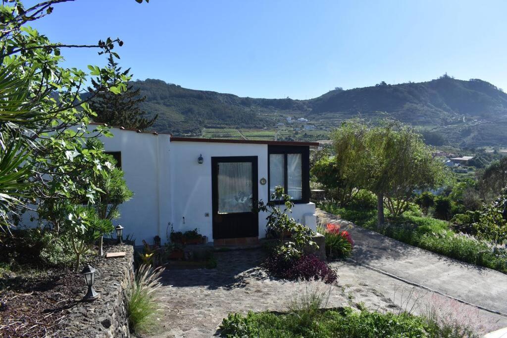 Casita De La Montana De Maria Villa Tegueste Exterior foto